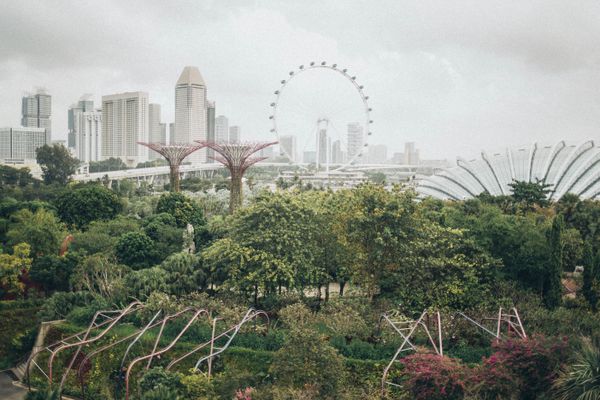 City Highlights Tour in Gardens by the Bay
