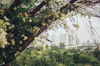 郁郁葱葱的鲜花和树叶环绕着充满活力的城市景观，勾勒出城市天际线，展现出自然与城市生活的和谐