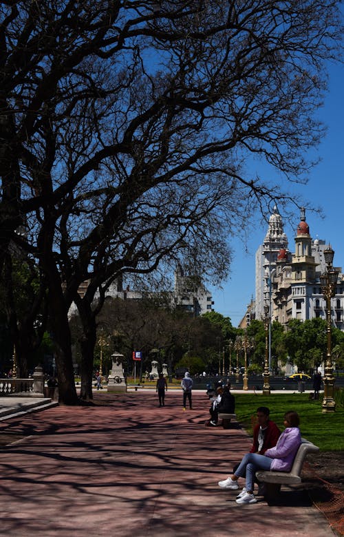 Бесплатное стоковое фото с trees, Аргентина, архитектура город