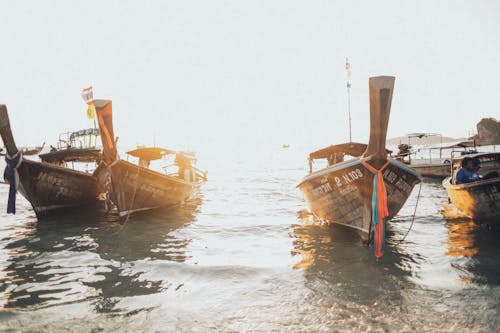 Три коричневые лодки