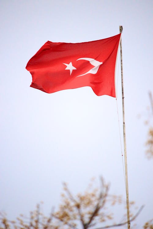 Turkish Flag on a Flagpole 
