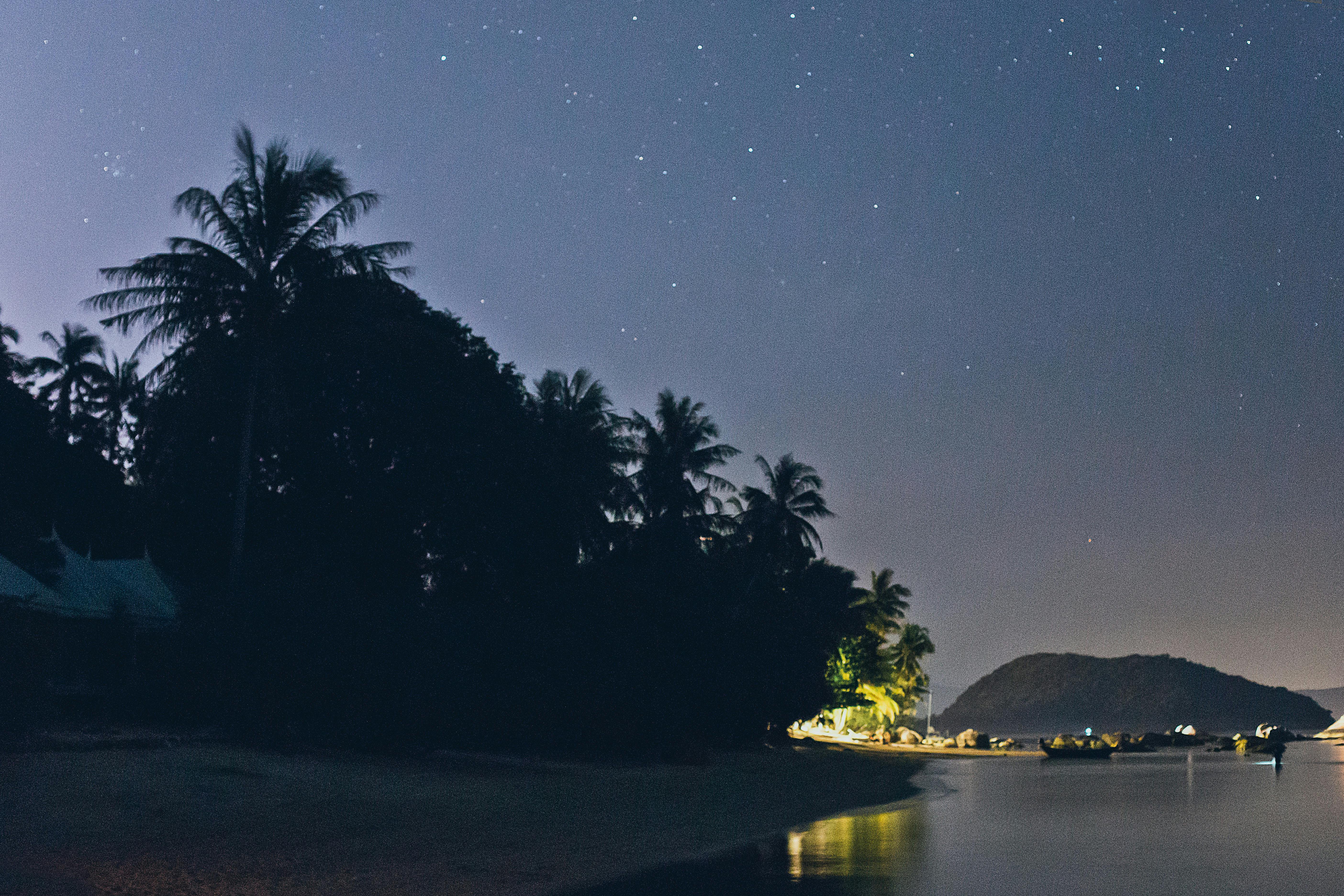 星空下，宁静的海滩旁有棕榈树和遥远的岛屿