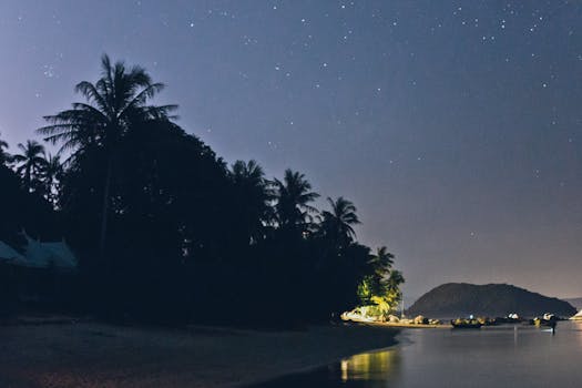 星空下，宁静的海滩旁有棕榈树和遥远的岛屿