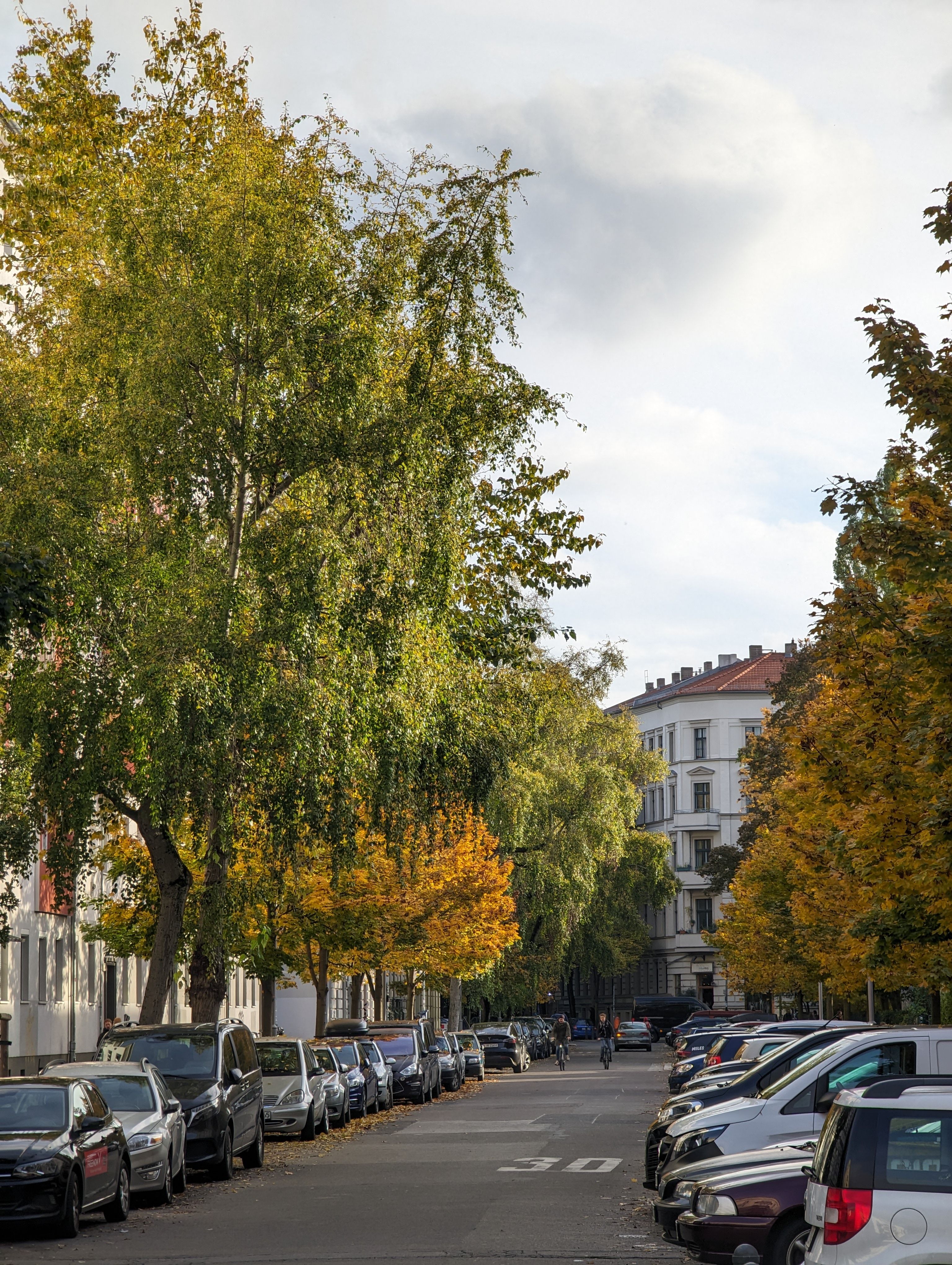 Colorful trees in a street in autumn · Free Stock Photo