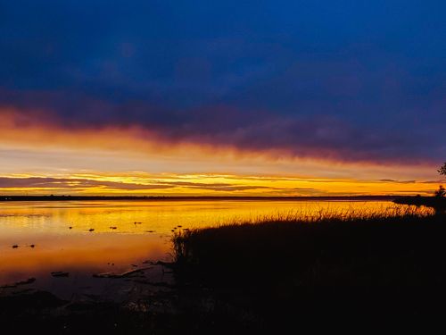 Free stock photo of beautiful sunset, canada, golden sunset Stock Photo