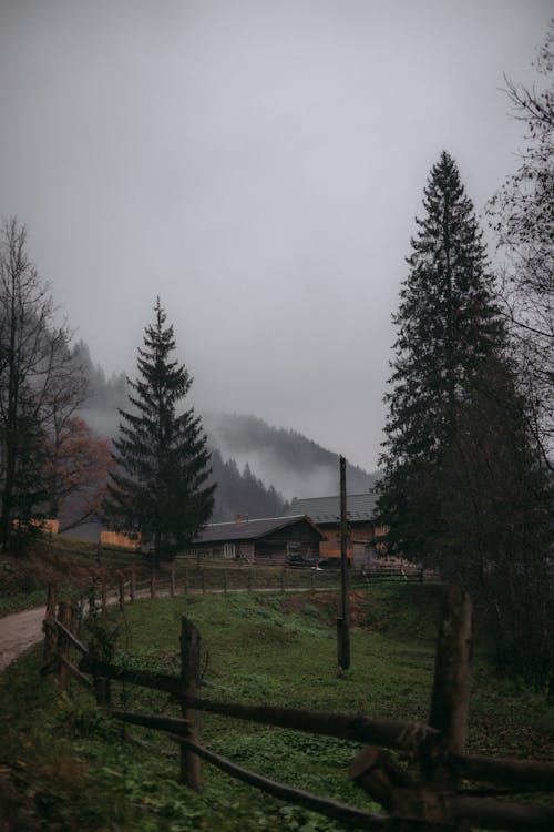 Trees and Village in Coutryside