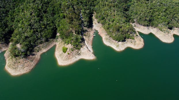 Stunning aerial view of a forested coastline in Monción, capturing the lush greenery and serene waters.