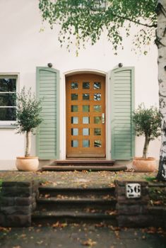 A quaint entrance featuring a wooden door with green shutters, potted plants, and decorative stone steps.