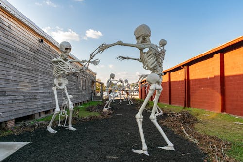 Skeleton Family Fun