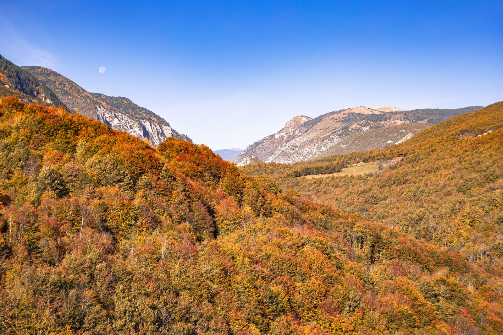Autumn on the ridge paint by numbers