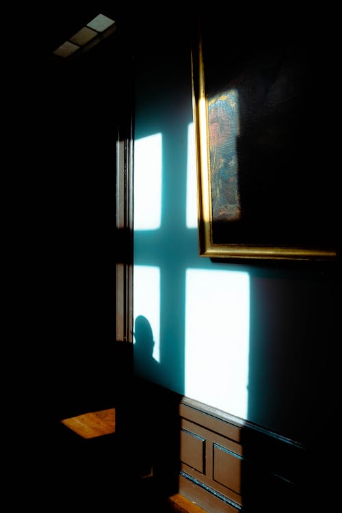 Darmowe zdjęcie z galerii z ciemność, cień, galeria