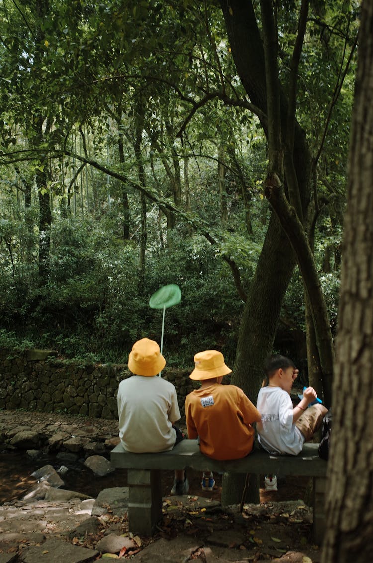 Children Sitting On Bench In Forest