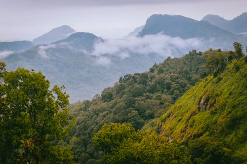 Free A Peak Experience: Capturing Hilltop Harmony Stock Photo