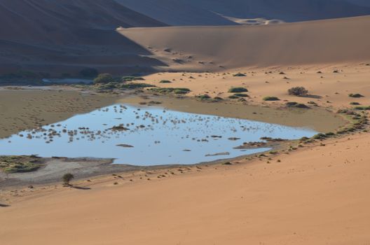 Fish River Canyon hike — Namibia