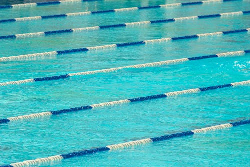 Základová fotografie zdarma na téma olympijský, plavecký bazén, plovoucí čáry