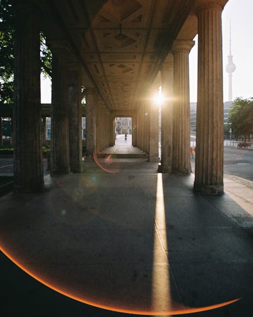 Sunlight over Viaduct Pillars