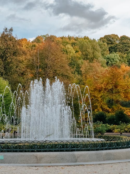 Imagine de stoc gratuită din arbori, cădere, fântână