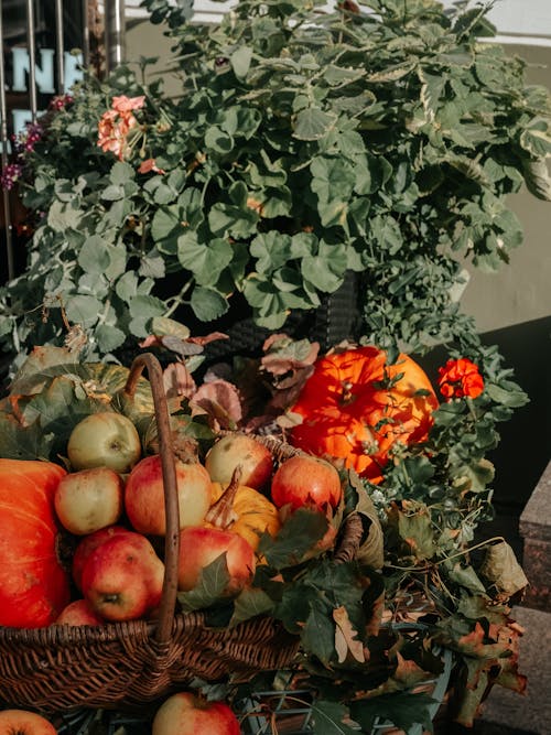 Pumpkins and Apples Autumn Decoration