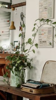 A cozy indoor setting featuring a vintage typewriter and potted plant on a wooden table.