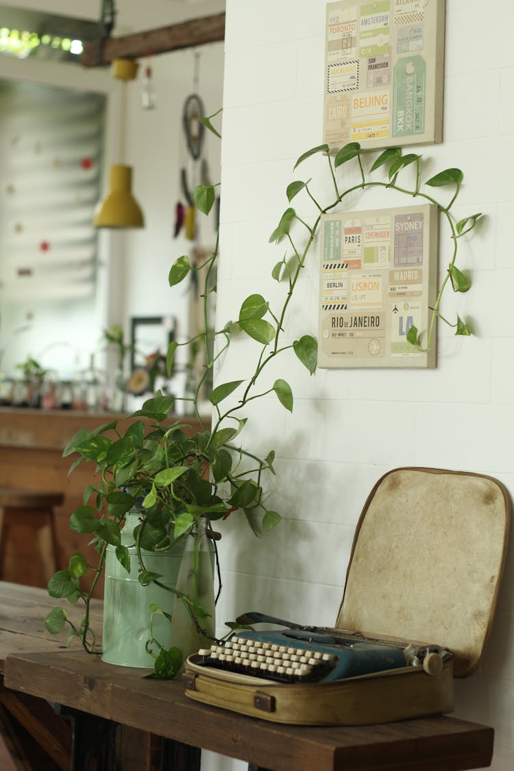 Typewriter And Plant In A Room