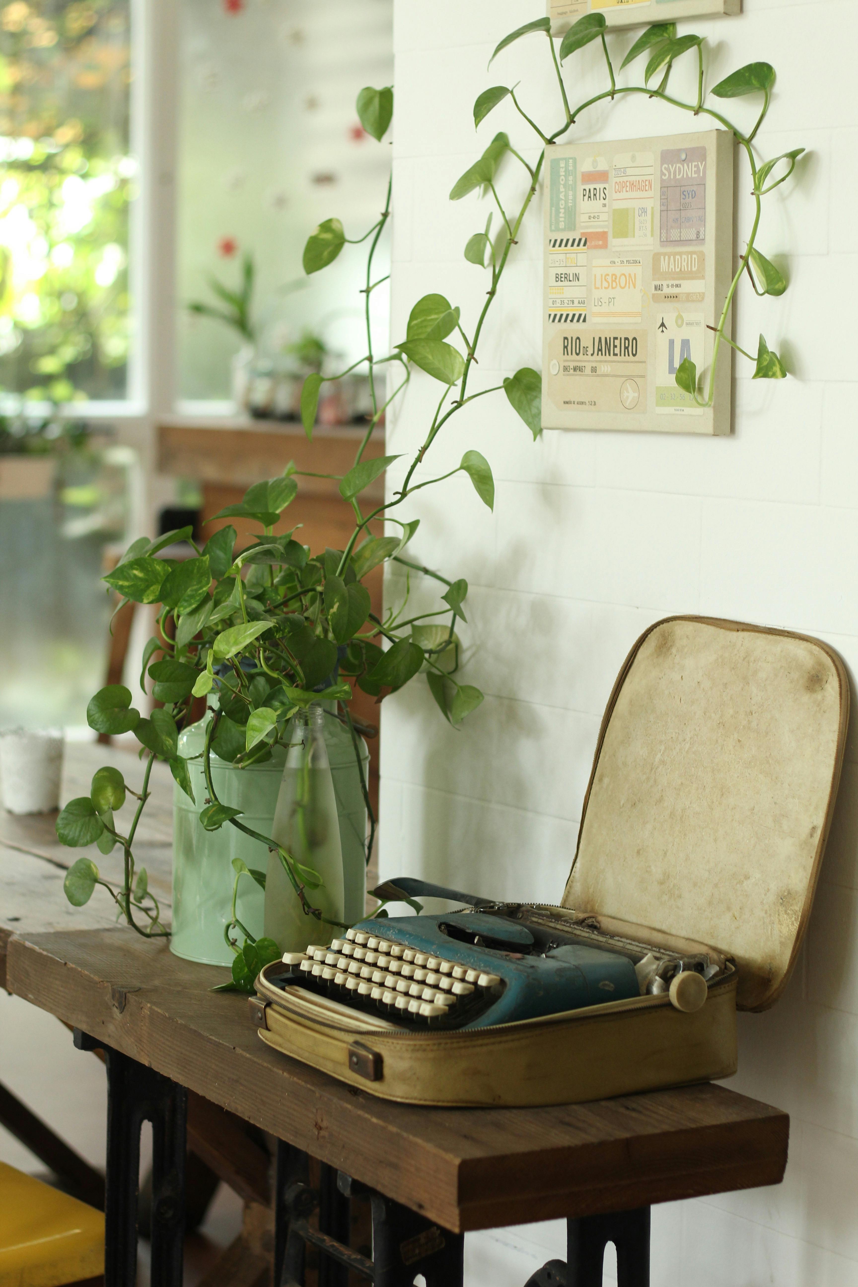 A classic typewriter in a vintage setting with a plant, evoking nostalgia and retro charm.
