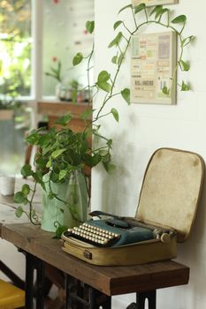 A classic typewriter in a vintage setting with a plant, evoking nostalgia and retro charm.