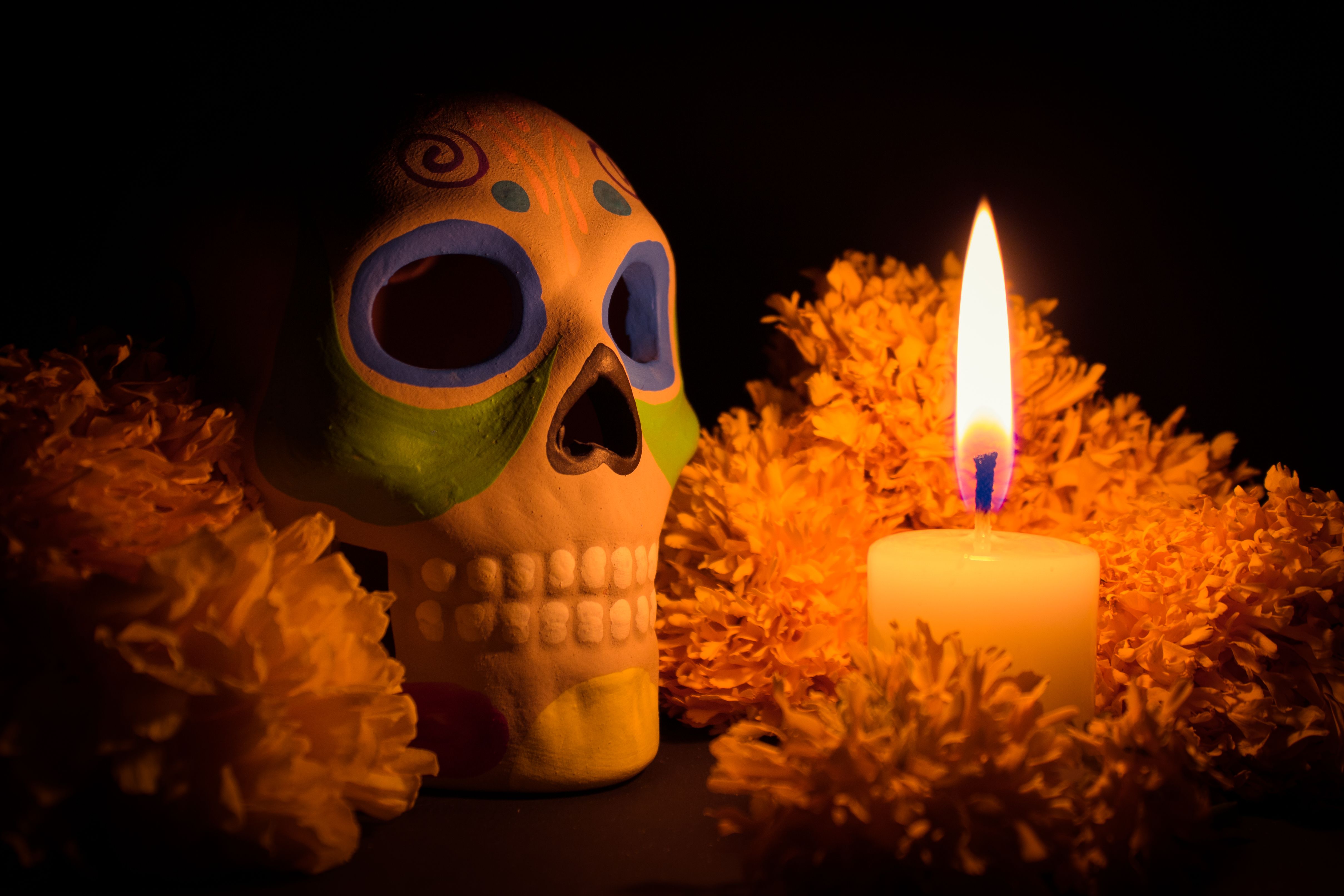 Free Skull Teeth Photos, Download The BEST Free Free Skull Teeth Stock ...