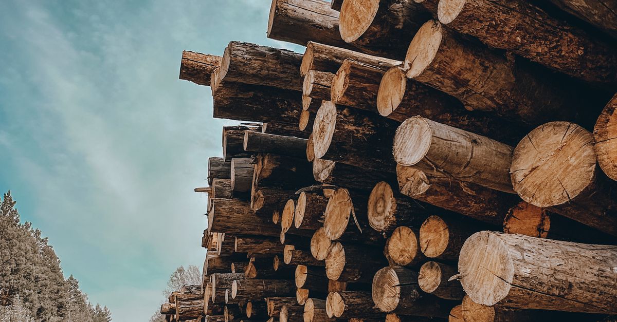 Timber Hiab Heap of Timber · Free Stock Photo