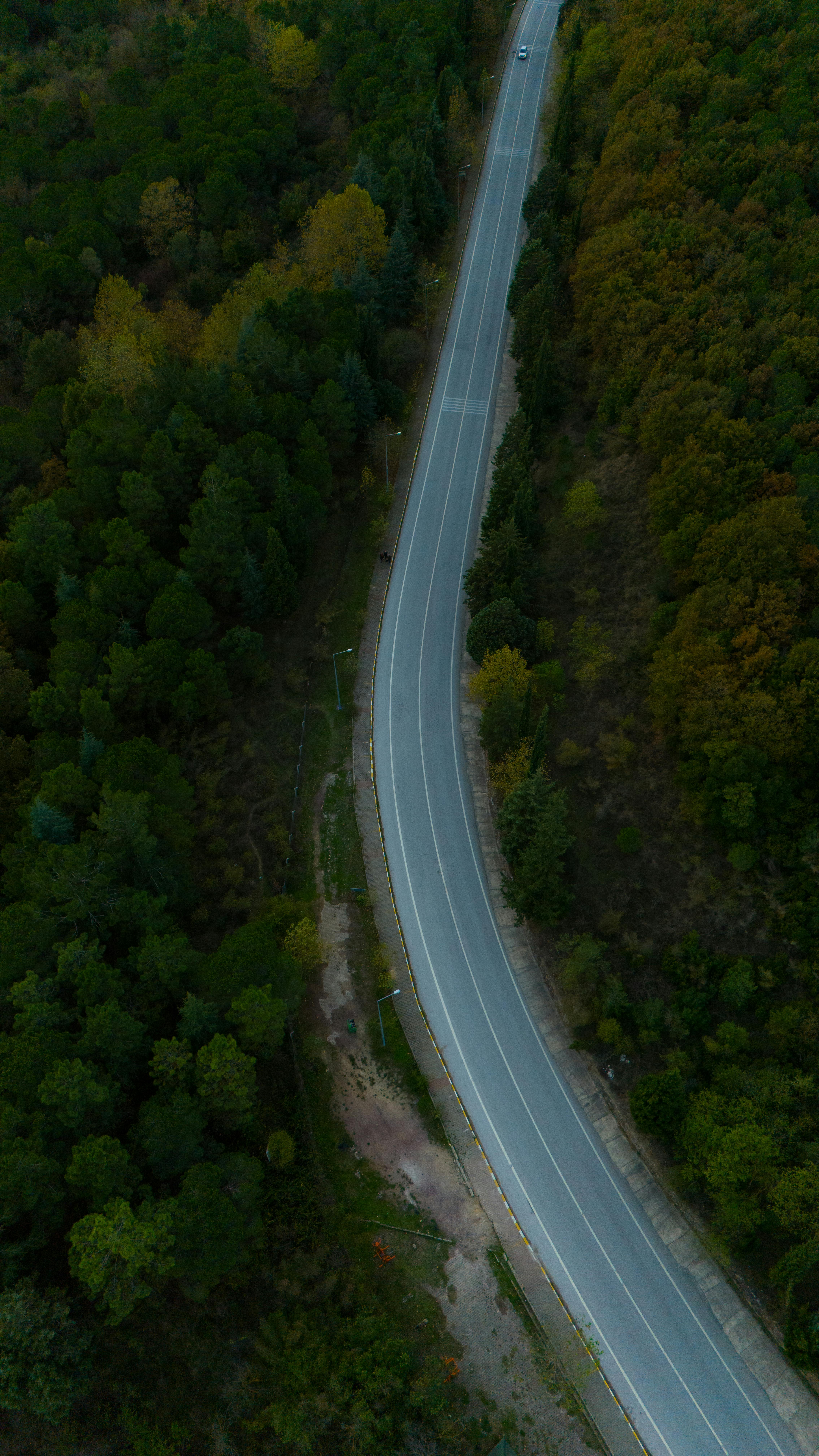 A drone captures a winding road cutting through a lush forest in autumn hues, seen from above.