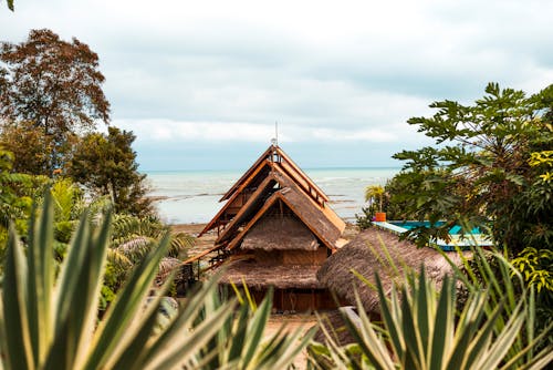 Gratis lagerfoto af countrysie, ecuador, kulturel rigdom