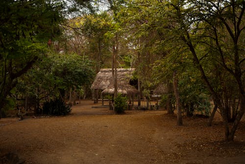 Kostnadsfri bild av countrysie, ecuador, kulturell rikedom