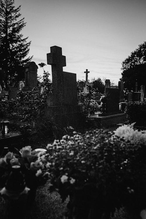 Fotobanka s bezplatnými fotkami na tému čiernobiely, čierny a biely, cintorín