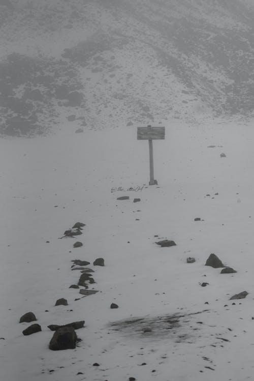 Ilmainen kuvapankkikuva tunnisteilla countrysie, ecuador, kulttuurinen rikkaus