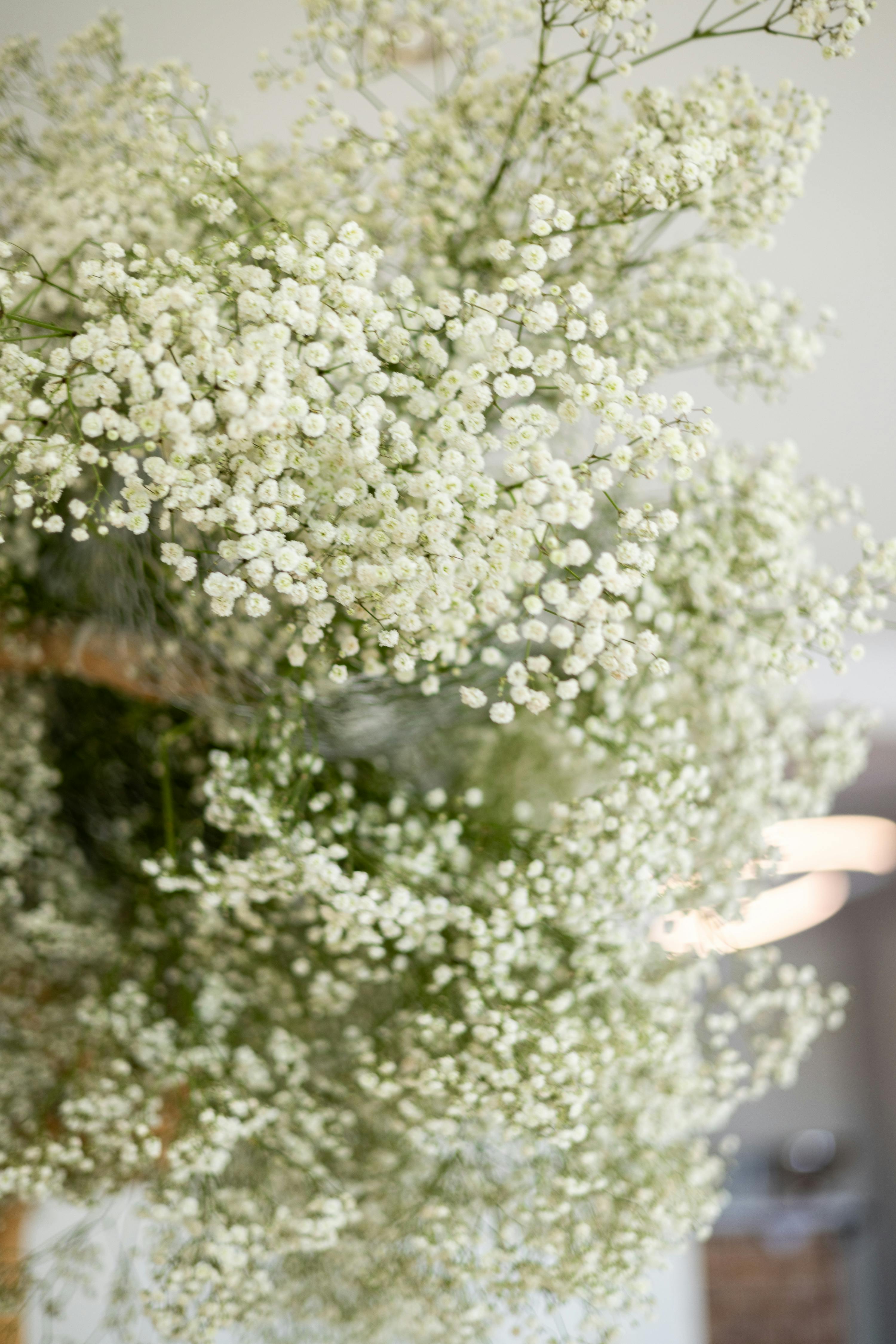 Thriller filler spiller container arrangement