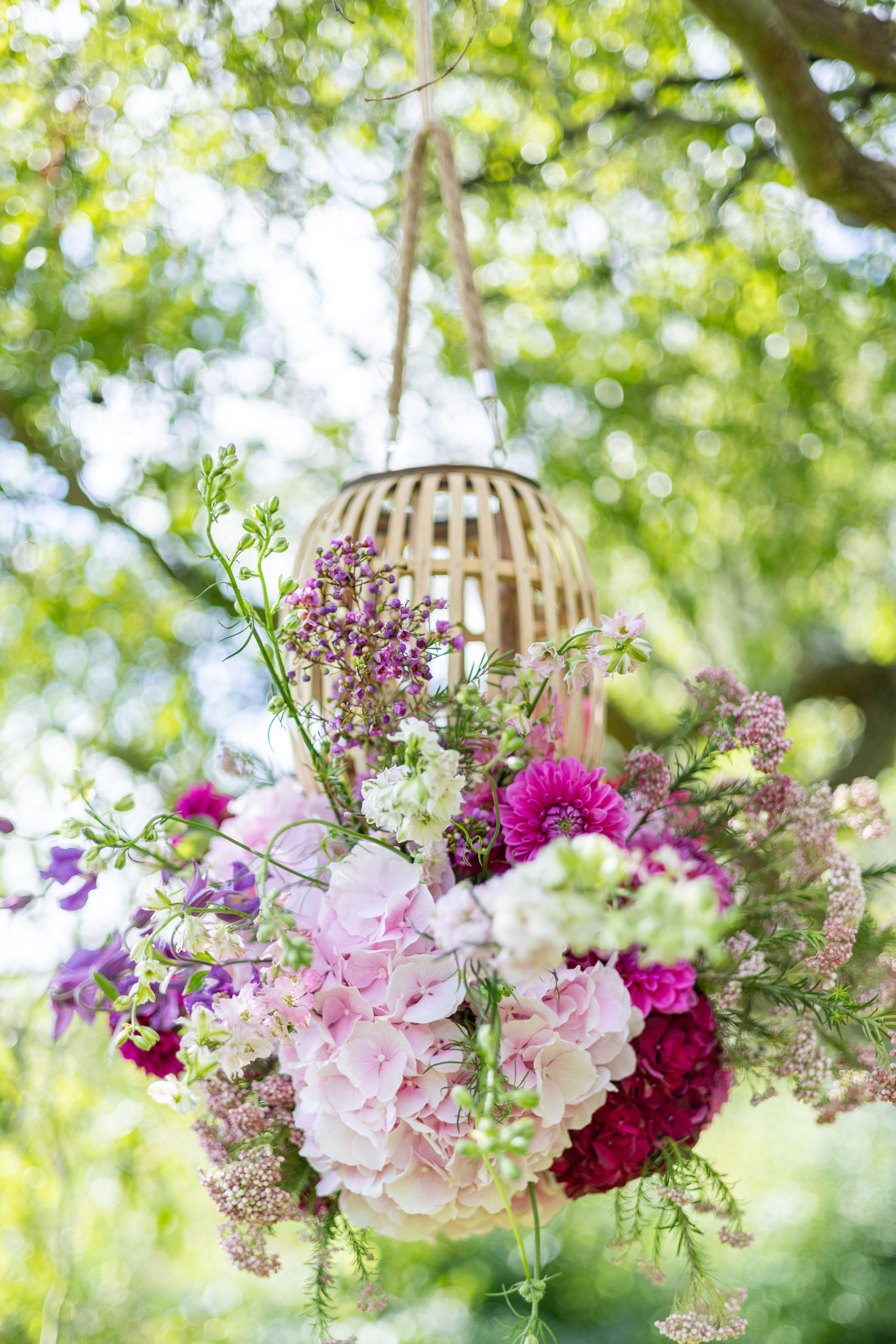 Flower Decoration Hanging from a Tree · Free Stock Photo