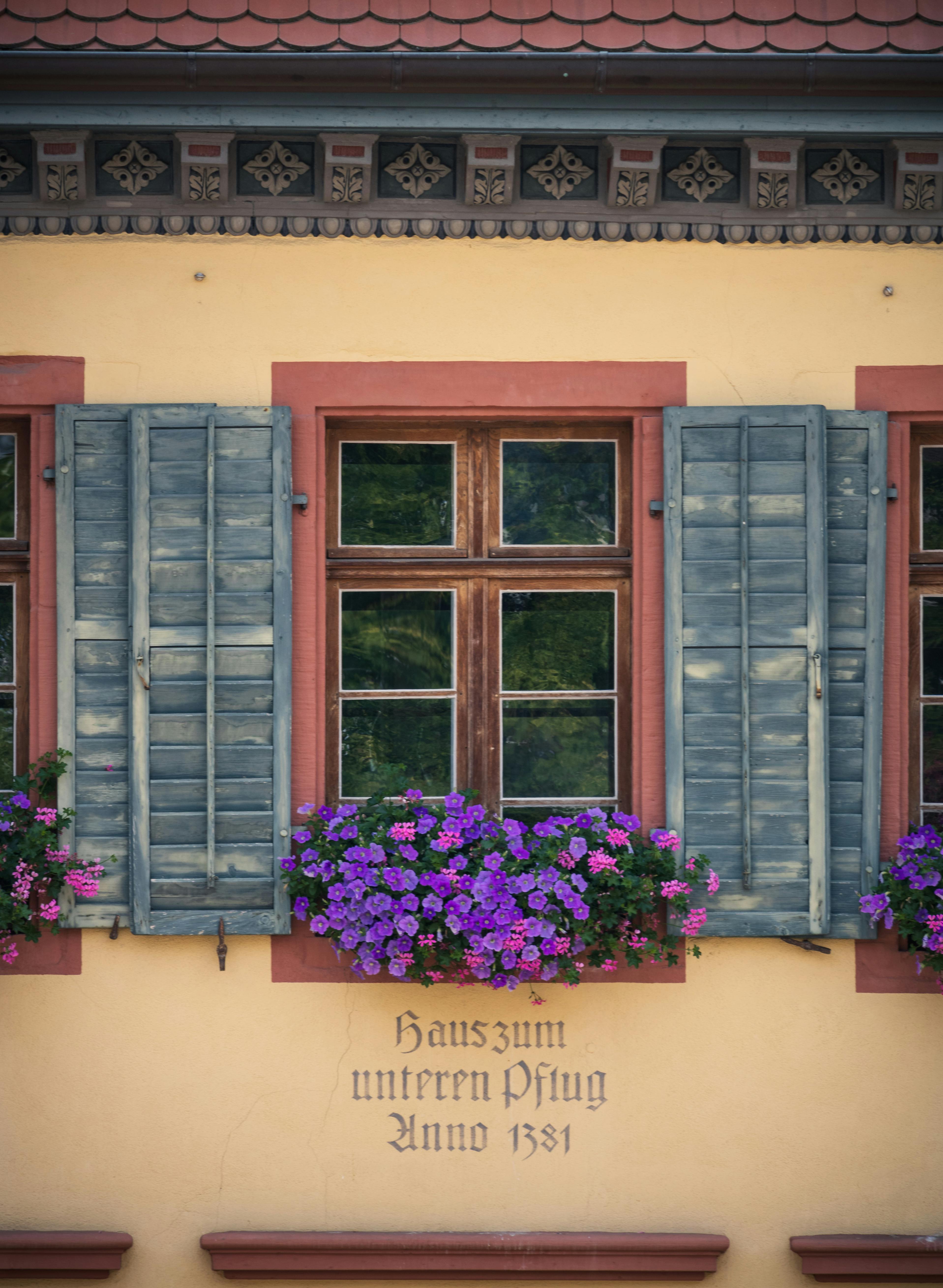 a window with purple flowers and shutters