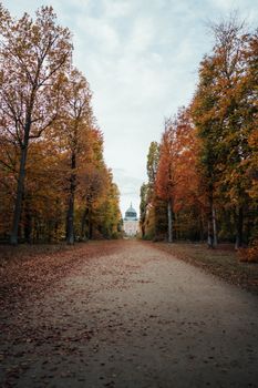 Peaceful autumn scene featuring a long path lined with vibrant fall trees and a distant building.