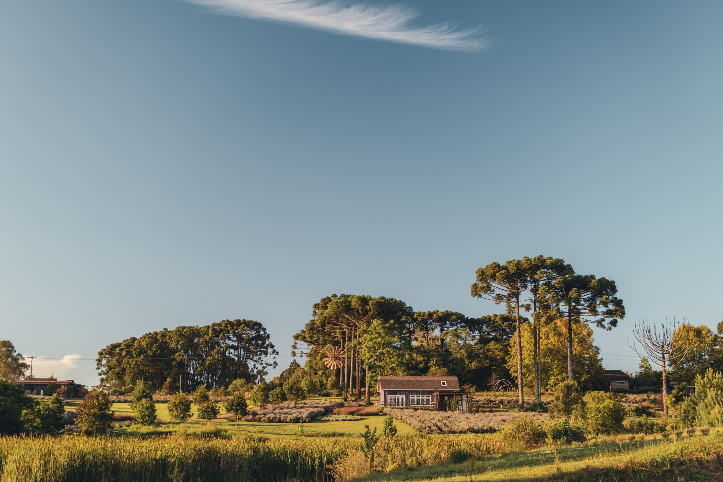 House on the Green Grass Field · Free Stock Photo