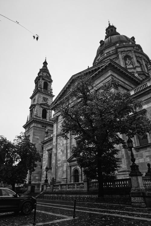 Ilmainen kuvapankkikuva tunnisteilla Budapest, katedraali, katolinen