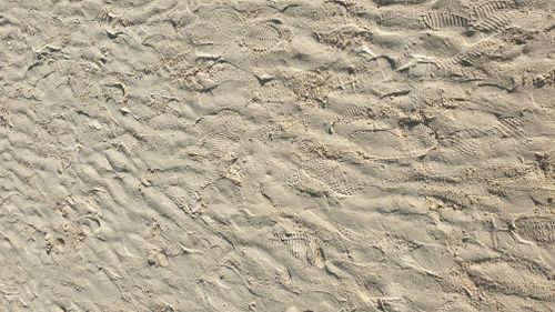 Free Sand & Footprints Stock Photo