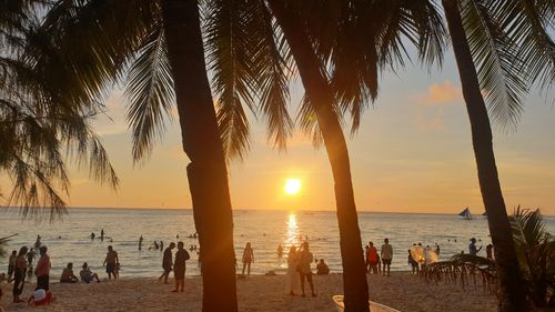 Free Sunset Palms Stock Photo
