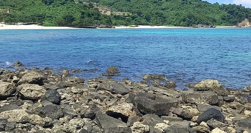 Free Rocky Shore Stock Photo