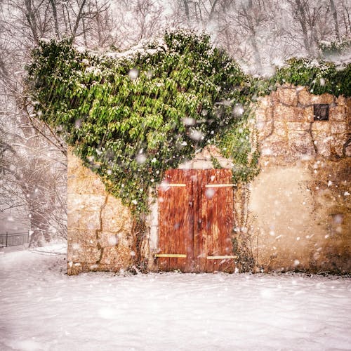 heartform, 入口, 冬季 的 免費圖庫相片