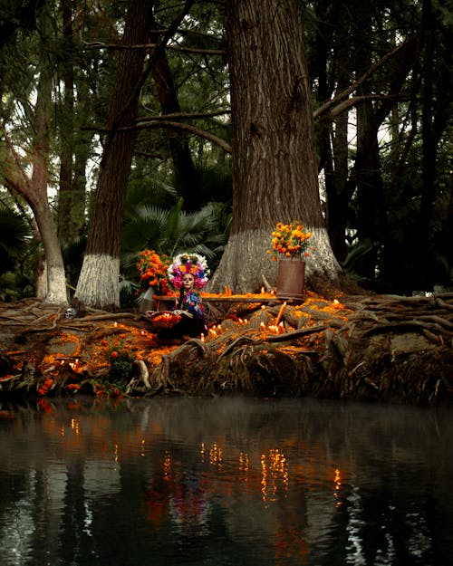 Free stock photo of catrina, cempasuchil flower, dÃ a de muertos