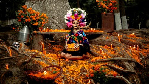 Fotos de stock gratuitas de bosque, caer, cultura