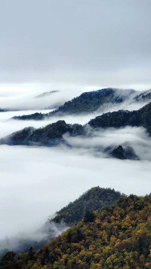 View of Mountain Peaks above the Clouds 
