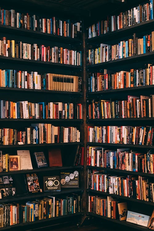 Free Books Filed Neatly On Shelves Stock Photo