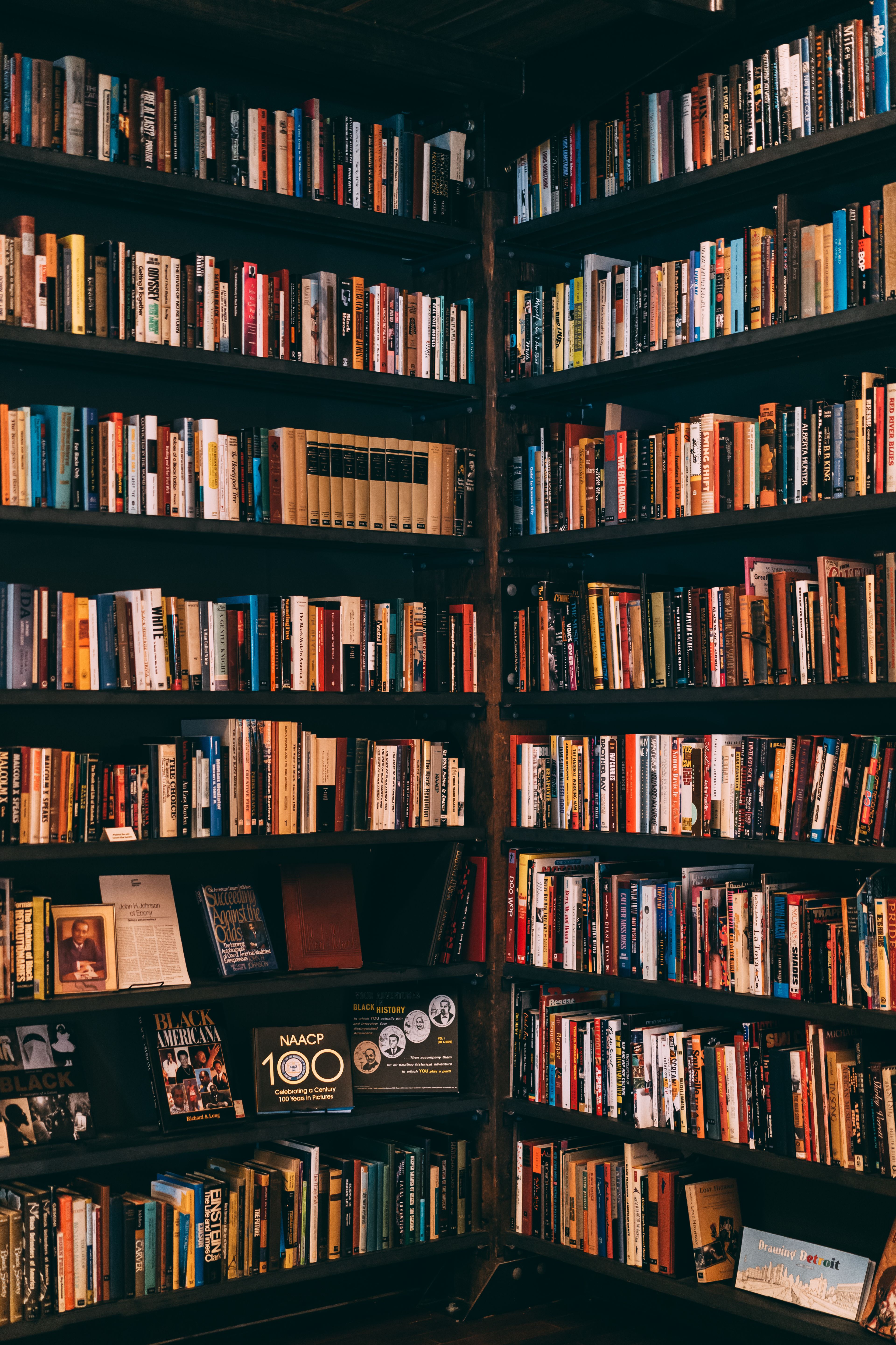 Wall of spines in the fiction section