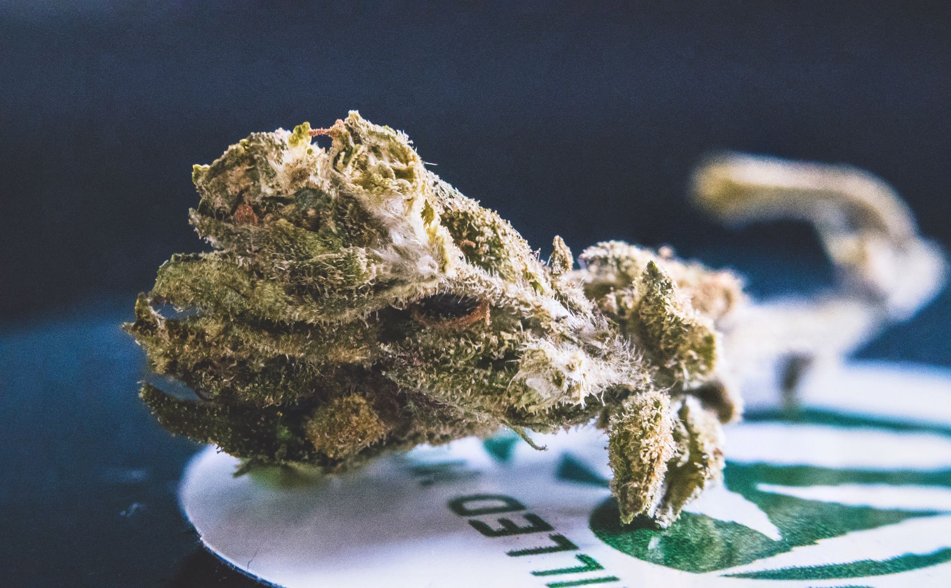 Detailed view of a dried cannabis bud, showcasing its texture and trichomes.