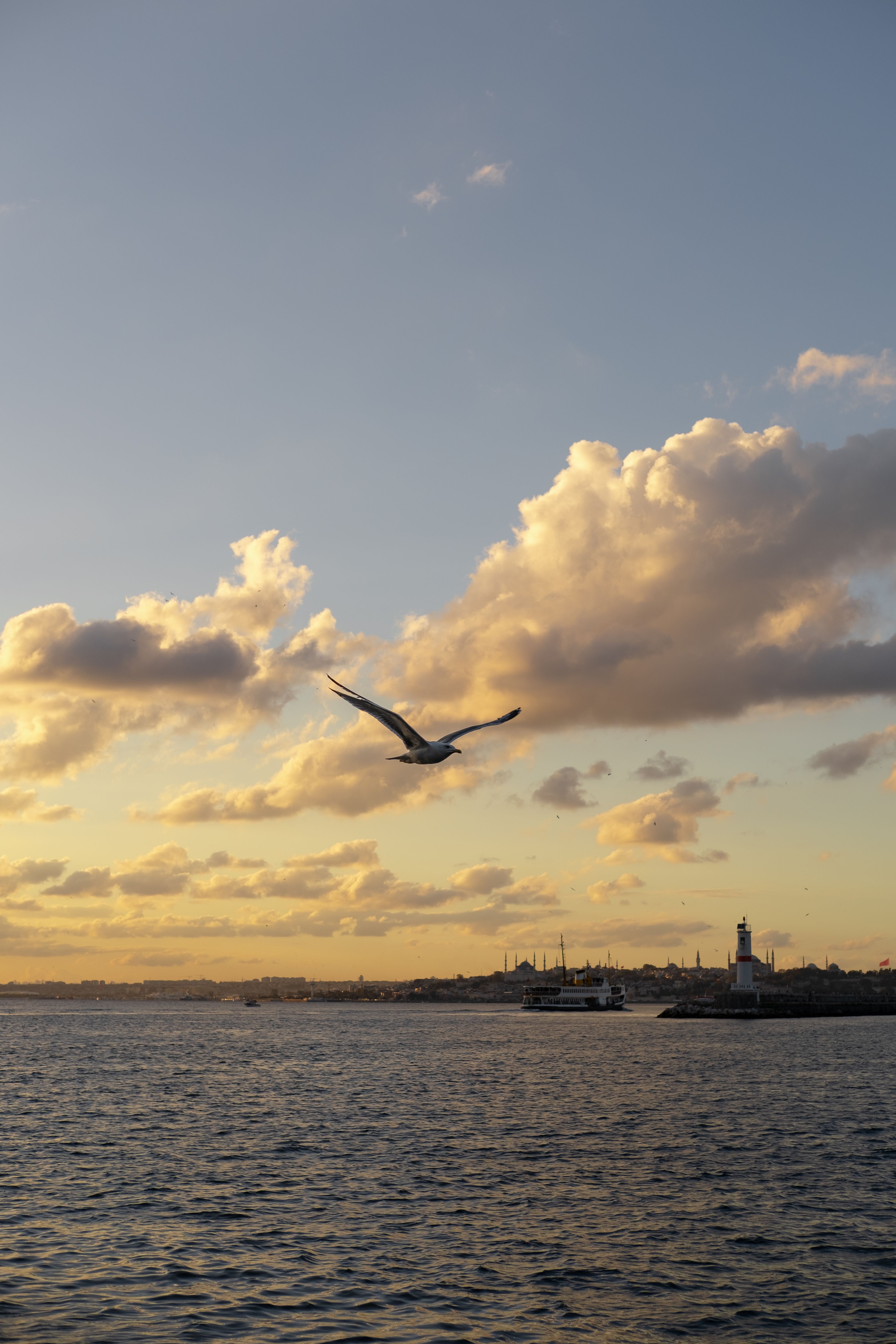 View of the Bosphorus Strait and Istanbul Skyline at Sunset · Free ...